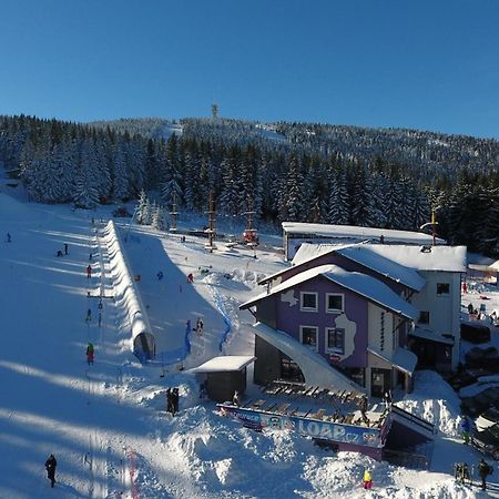 Pension Max Klinovec Loučná pod Klínovcem Bagian luar foto