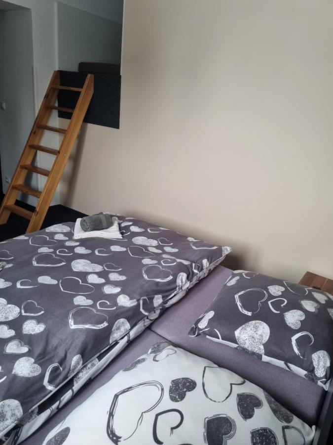 Pension Max Klinovec Loučná pod Klínovcem Bagian luar foto